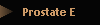 Prostate E